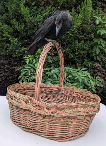 Vintage large wicker - large,