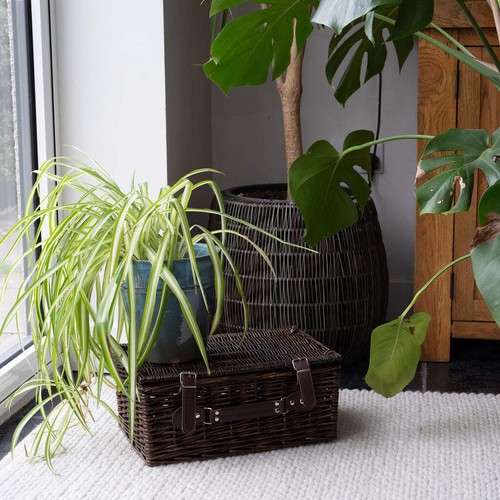 Beedon distilled wicker - beedon,