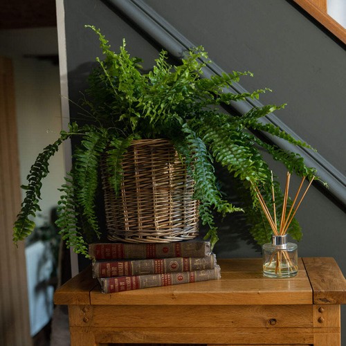 Antique round wicker lined - antique,